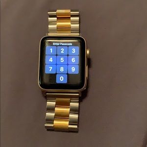Apple Watch Band Silver with Gold Accent
